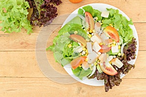 Mixed fresh vegetables salad in white dish