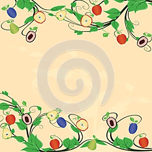 Mixed fruit background
