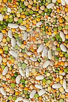 Mixed grains and beans