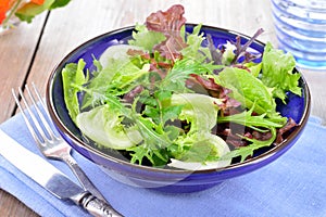 Mixed green leaves salad lettuce.
