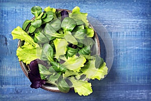 Mixed green salad leaves in a bowl