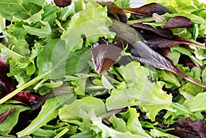 Mixed greens lettuce background