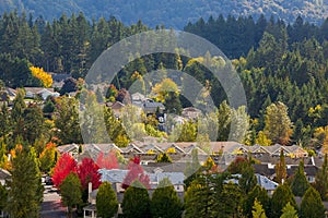 Mixed Housing North American Suburban Neighborhood in Fall