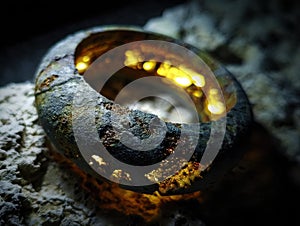 Mixed Macro Abstract Textures Series photo
