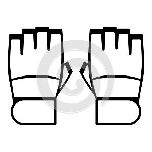 Mixed martial arts equipment: sparring gloves photo