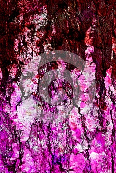 Mixed media artwork, abstract colorful artistic painted layer in pink, purple, brown color palette on grunge texture