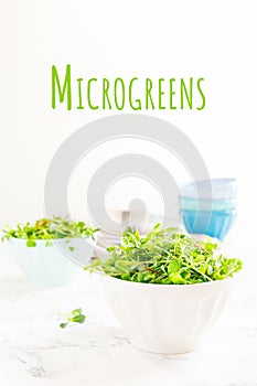 Mixed microgreens salad in bowl. Superfood snack, healthy eating, plant diet, vegan concept