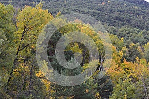 Mixed mountain forests of the Ordesa-ViÃ±amala Biosphere Reserve, Pyrenees