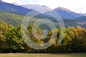 Mixed mountain forests of the Ordesa-ViÃ±amala Biosphere Reserve, Pyrenees