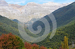 Mixed mountain forests of the Ordesa-ViÃ±amala Biosphere Reserve, Pyrenees