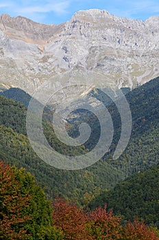 Mixed mountain forests of the Ordesa-ViÃ±amala Biosphere Reserve, Pyrenees