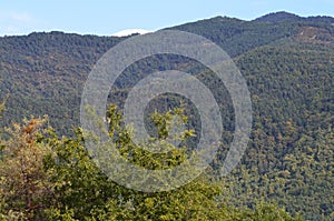 Mixed mountain forests of the Ordesa-ViÃ±amala Biosphere Reserve, Pyrenees