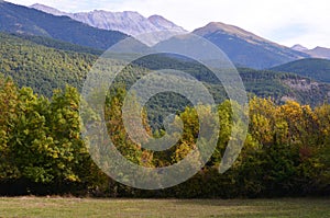 Mixed mountain forests of the Ordesa-ViÃ±amala Biosphere Reserve, Pyrenees