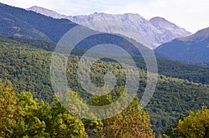 Mixed mountain forests of the Ordesa-ViÃ±amala Biosphere Reserve, Pyrenees