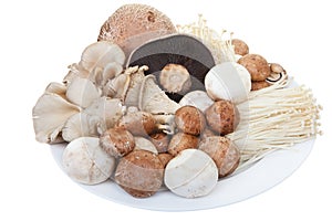 Mixed mushrooms