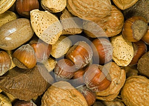 Mixed Nuts