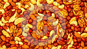 Mixed nuts assortment featuring almonds, cashews, walnuts, and peanuts on a vibrant background