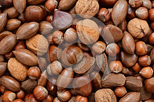 Mixed nuts - chestnuts, pecans, walnuts, brazils and hazelnuts