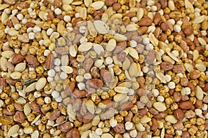 Mixed nuts close up