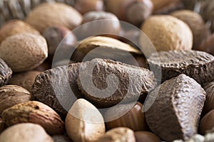 Mixed Nuts Close Up
