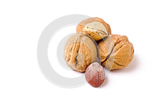 Mixed Nuts in Shell Isolated on White