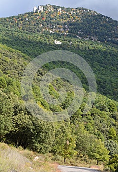 Mixed oak and pine forests in PeÃ±a MontaÃ±esa, Huesca, Aragonese Pyrenees