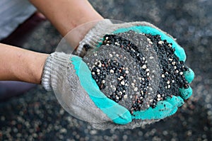 The mixed of plant chemical fertilizer and manure on farmer hand photo