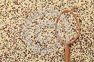 Mixed quinoa seeds with spoon as background, top view