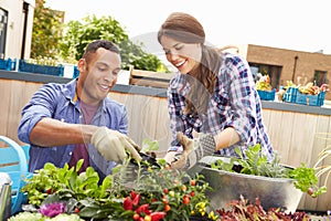 Mixed Race Couple Planting Rooftop Garden Together