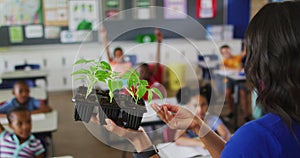 Mixed race female teacher standing in classroom asking questions abount plant during biology lesson