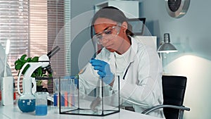 Mixed race research scientist providing experiment with lab mouse by giving it some doze of medicine photo