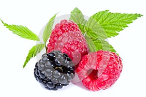 Mixed Raspberies and Blackberry with leaves