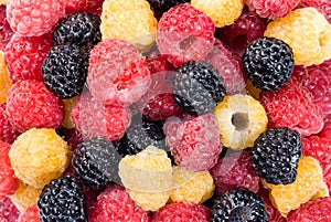 Mixed raspberry background
