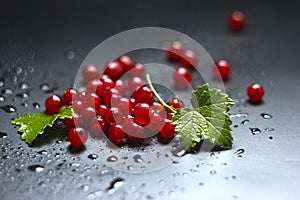 Mixed red currant berries on a black wet background, with a green leaf, closeup