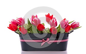 Mixed red pink tulips