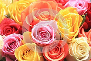 Mixed rose bouquet