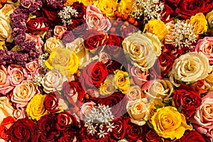 Mixed rose bouquet as background