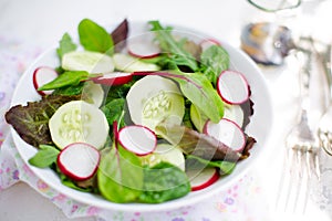 Mixed salad with baby leaves, radish and cucumber