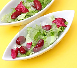 Mixed salad with beans