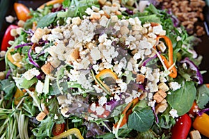 Mixed Salad Ingredients