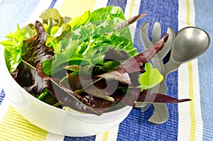 Mixed salad leaves