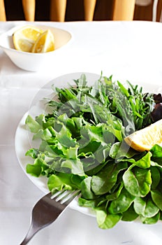 Mixed salad leaves arugula, lettuce, spinach on a white plate with lemon slices on a light background. Fresh herbs, vitamins.