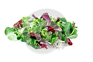 Mixed salad leaves frisee, radicchio and lamb's lettuce. Isolated on white background