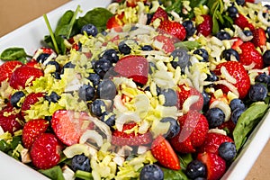 Mixed salad of the summer