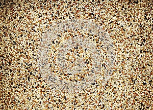 Mixed seed for feed bird as nature food background - Top view of white , brown and black grains