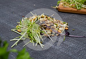 Mixed sprouts Seeds of green, lentils flax seed. New life concept seed germination. Complete balanced nutrition for