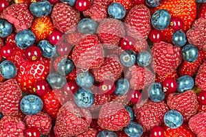 Mixed summer berries background