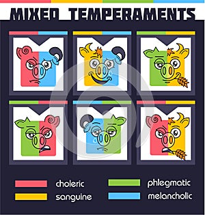 Set Mixed Temperaments