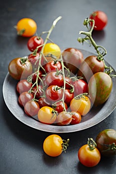 Mixed Tomatoes on the vine