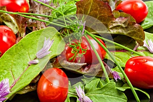 Mixed vegetable salad